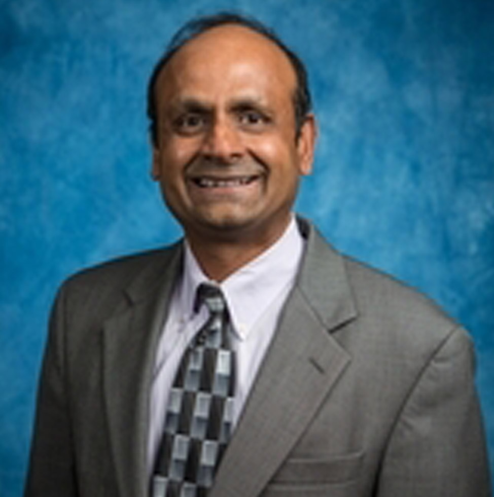 Vedapuri Raghavan